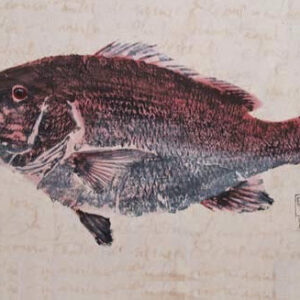 Fish Prints Workshop - Sunday July 14, 2024